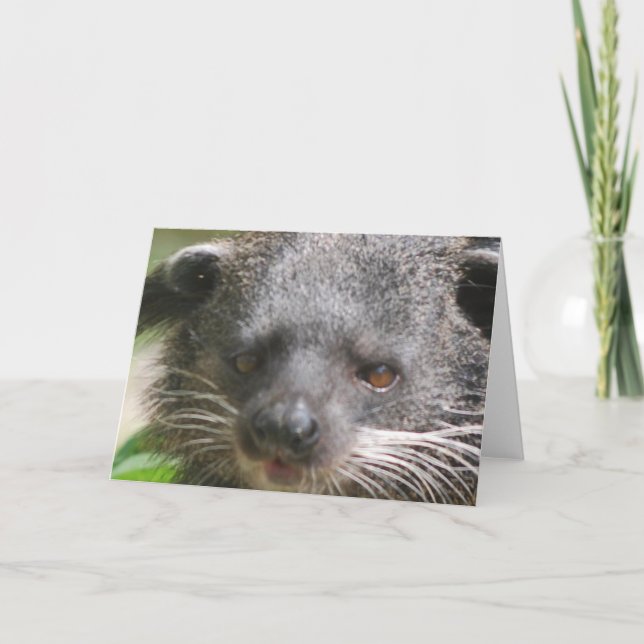 Carte de voeux Bearcat (Devant)