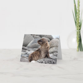 Carte de vœux bébé otarie