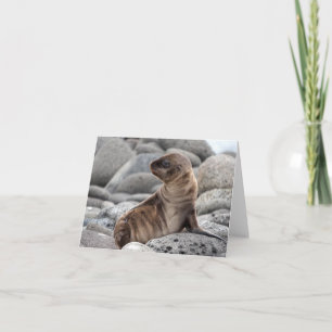 Carte de vœux bébé otarie