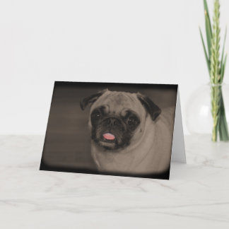 Carte de voeux Bella Donna