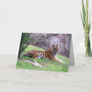 Carte de voeux Bengal Tiger