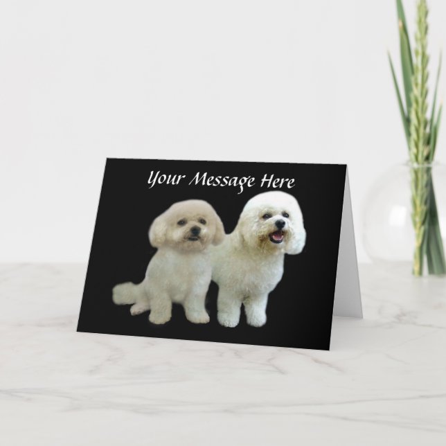 Carte de voeux Bichon Buddies (Devant)