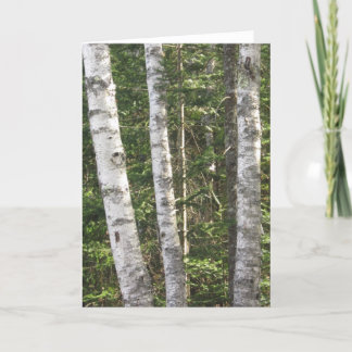 Carte de voeux Birch Tree