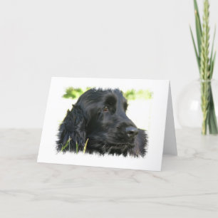 Carte de voeux Black Cocker Spaniel Dog