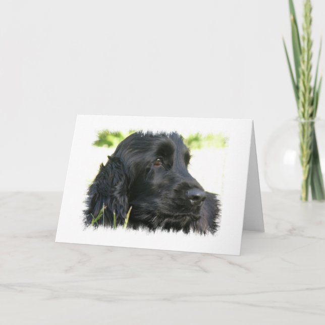 Carte de voeux Black Cocker Spaniel Dog (Devant)