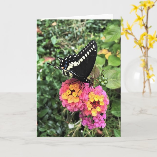 Carte de voeux - Black Swallowtail sur Lantana (Fleur jaune)