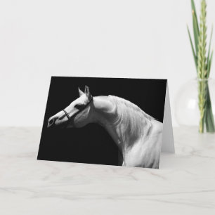 Carte de voeux Black & White Horse Portrait