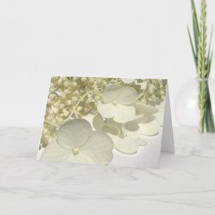 Carte de voeux Blanc Lacecap Hydrangea Fleurs