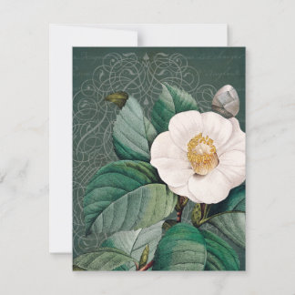 Carte de voeux blanche à plat Camellia