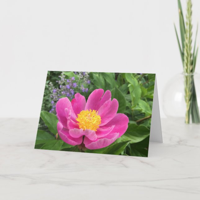 Carte de voeux blanche Arbre Peony (Devant)
