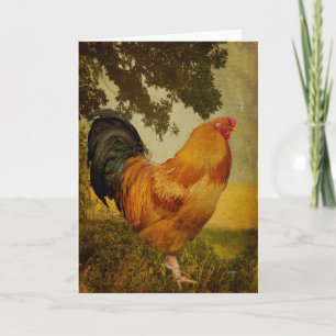 Carte de voeux blanche Chanticleer Rooster
