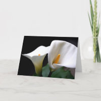 Carte de voeux blanche de fleur de zantedeschia