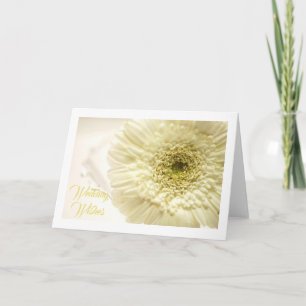 Carte de voeux blanche de marguerite de Gerbera