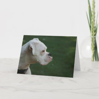 Carte de voeux blanche de photo de chien de boxeur
