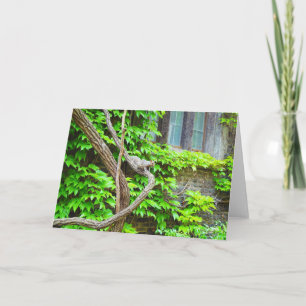 Carte de voeux blanche écureuil et vignes