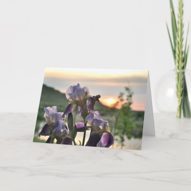 Carte de voeux blanche Irises et coucher de soleil (Devant)