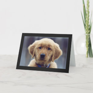 Carte de voeux blanche Kelly Golden Retriever