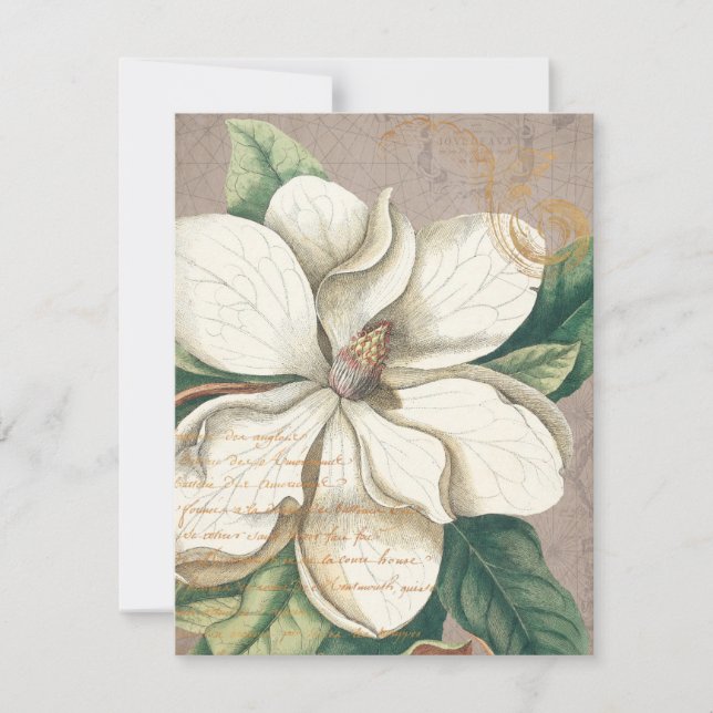 Carte de voeux blanche Magnolia Flat (Devant)