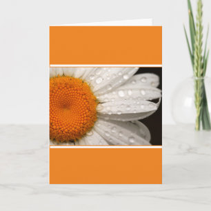 Carte de vœux blanche pliée à marguerite estivale