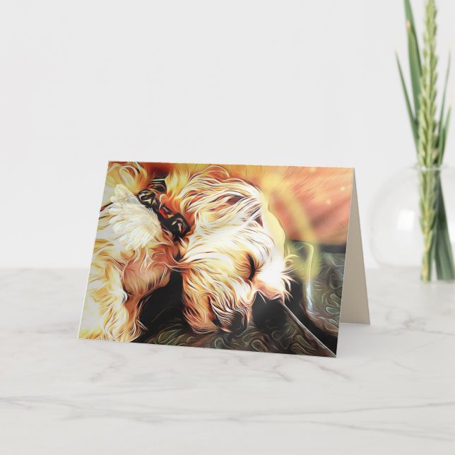 Carte de voeux blanche pour le séchoir (Devant)