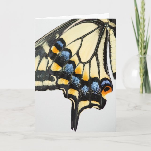 Carte de voeux blanche pour papillon Swallowtail (Devant)