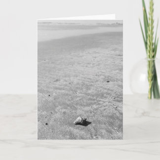 Carte de voeux blanche pour un petit coquillage