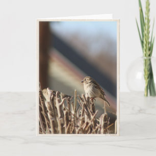 Carte de voeux blanche pour un petit oiseau