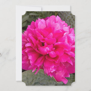 Carte de voeux blanche rose foncé