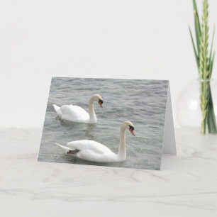 Carte de voeux blanche Swans