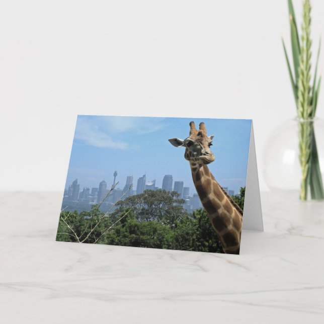 Carte de voeux blanche Sydney Giraffe Australie (Devant)