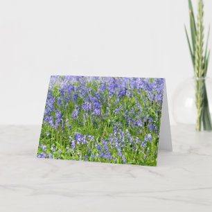 Carte de voeux bleue de Bells