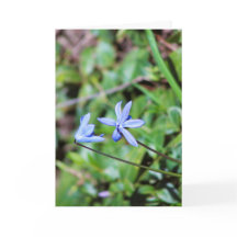 Carte de vœux bleue florale avec poème à l'intérie