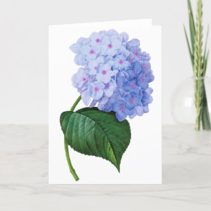 Carte de voeux Blue Hydrangea