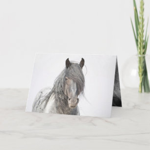 Carte de voeux Blue Zeus Portrait Wild Horse