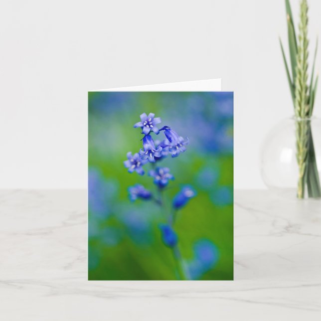 Carte de voeux Bluebell flower (Devant)