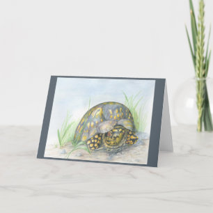 Carte de voeux boîte à tortue. À l'intérieur.