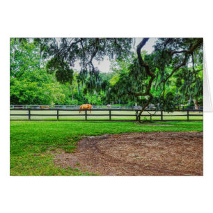 Carte de voeux Boone Hall Stables