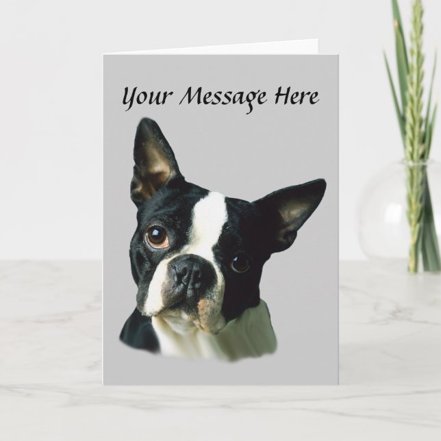 Carte de voeux Boston Terrier (Devant)