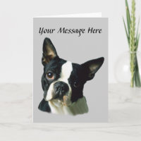 Carte de voeux Boston Terrier