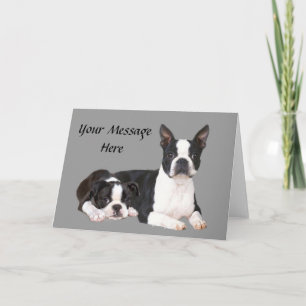 Carte de voeux Boston Terrier Buddies