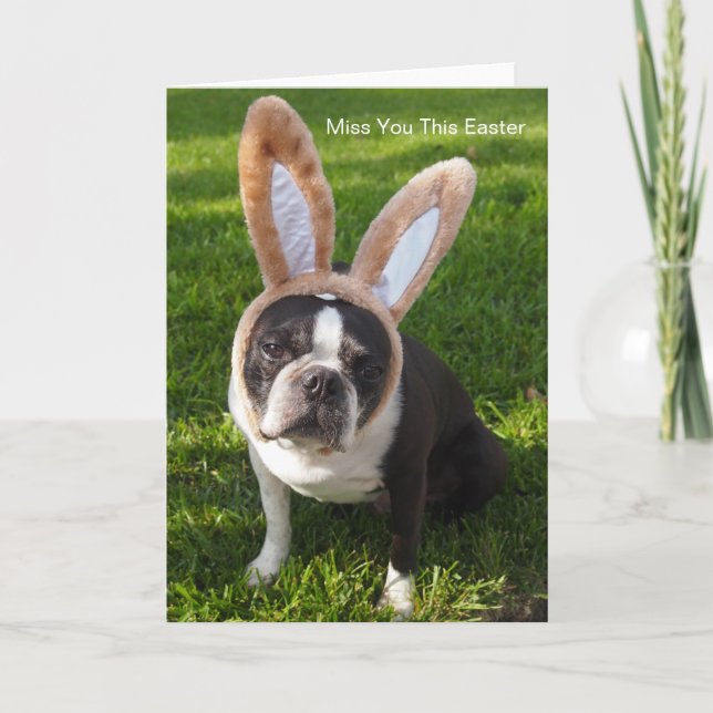 Carte de voeux Boston Terrier Bunny (Devant)