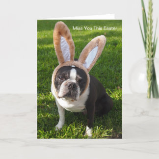 Carte de voeux Boston Terrier Bunny