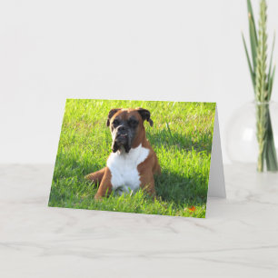 Carte de voeux Boxer Chien