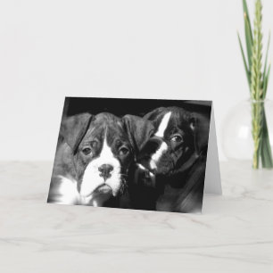 Carte de voeux Boxer pups