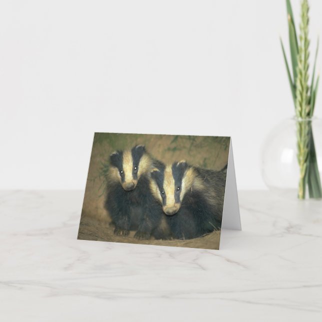 Carte de voeux Brockwatch badger (Devant)
