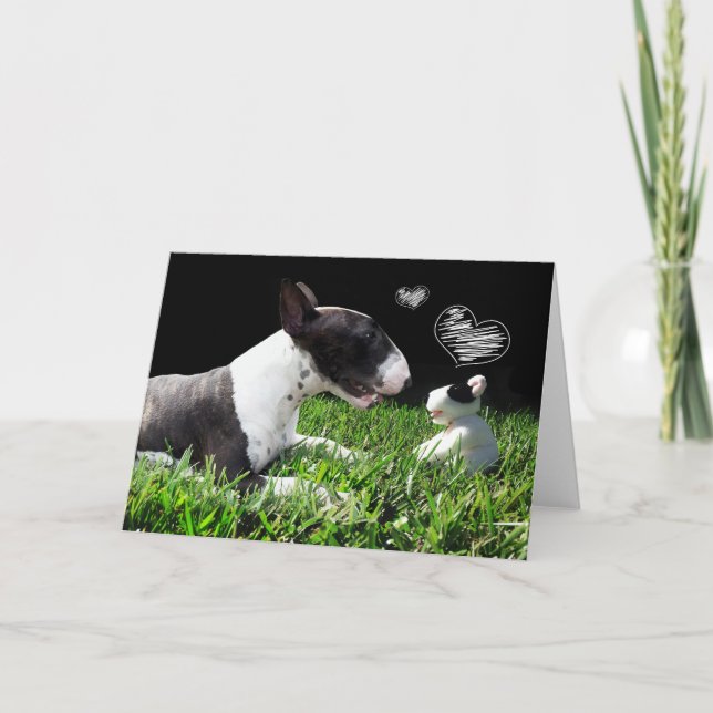 Carte de voeux Bull Terrier (Devant)