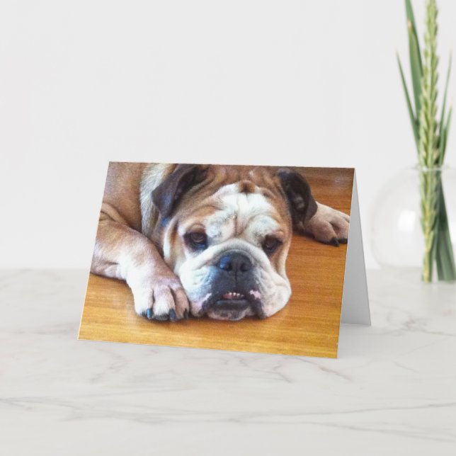 Carte de voeux Bulldog en anglais vierge (Devant)
