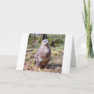 Carte de vœux Buse – Buse de la faune
