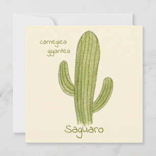 Carte de vœux Cactus Saguaro