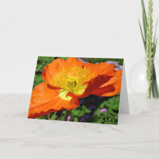 Carte de voeux California Poppy
